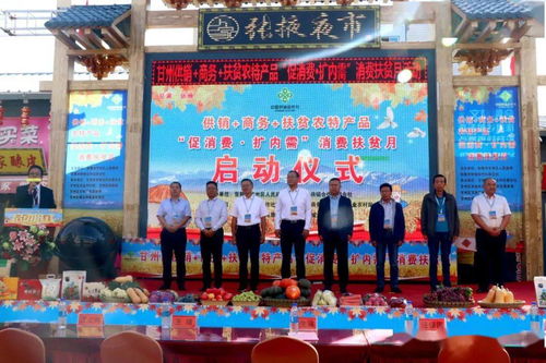 甘州區多措并舉促消費擴內需，消費扶貧月活動助力鄉村振興