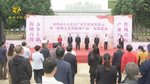 梧州六大重點(diǎn)產(chǎn)業(yè)成果閃耀，本土品牌展銷(xiāo)與文化交流共繪發(fā)展新篇